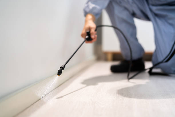 Licensed Pest Control service in Harrisonburg, VA - Show Me Pest Control