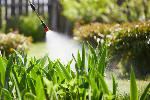 24/7 Emergency Mosquito Control experts in Harrisonburg, VA
