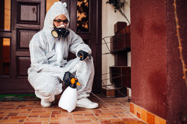 Reliable Mosquito Control contractor in Harrisonburg, VA by Show Me Pest Control