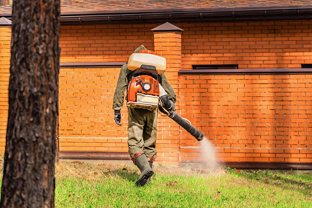 Top rated local Mosquito Control specialists in Harrisonburg, VA